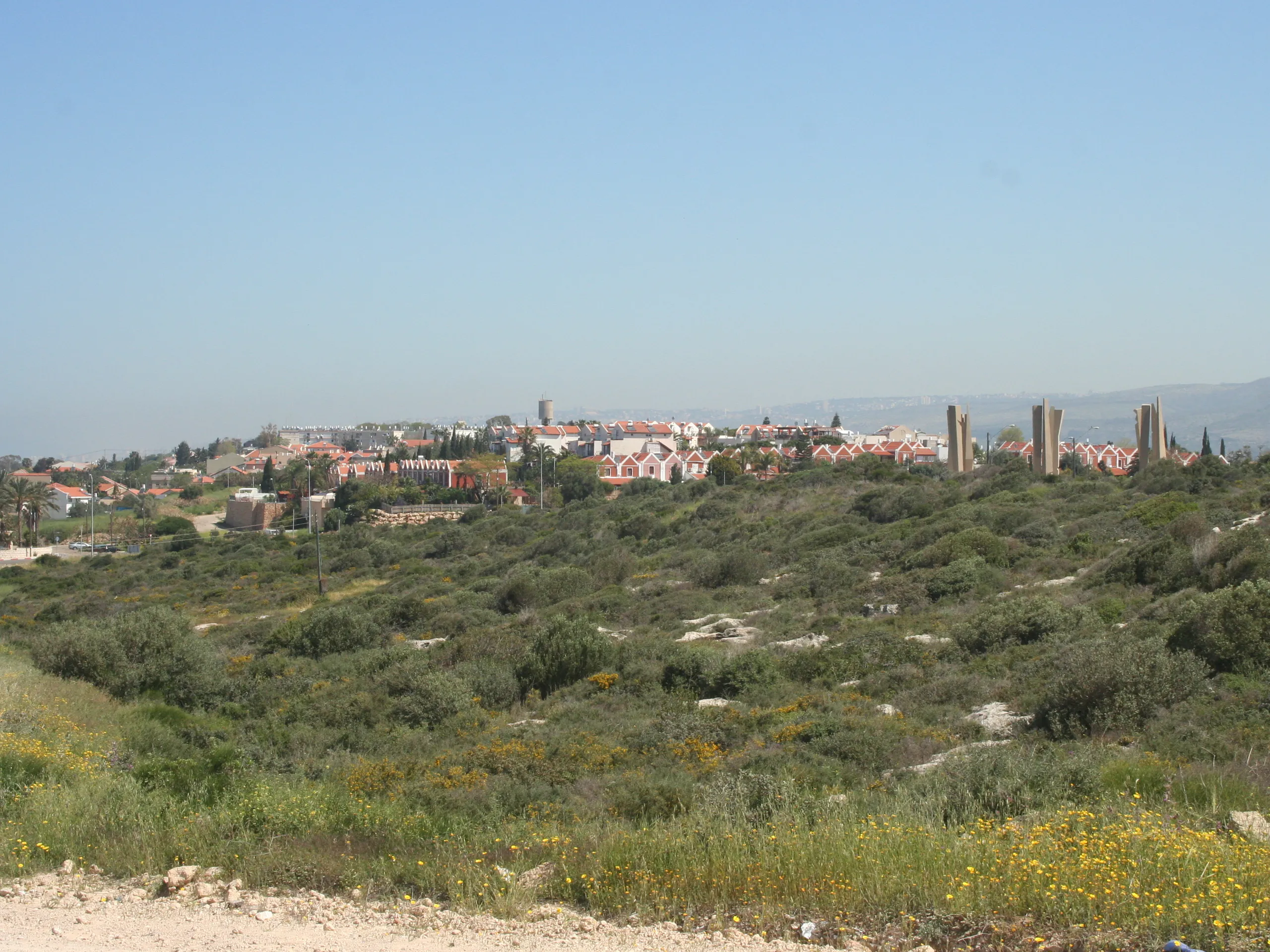 עתלית, מבט על היישוב מדרום-מזרח