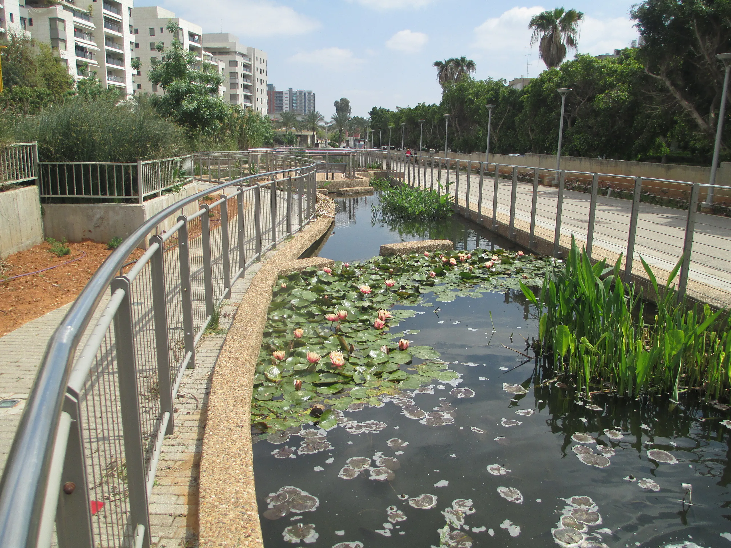גני תקווה, הבריכות האקולוגיות