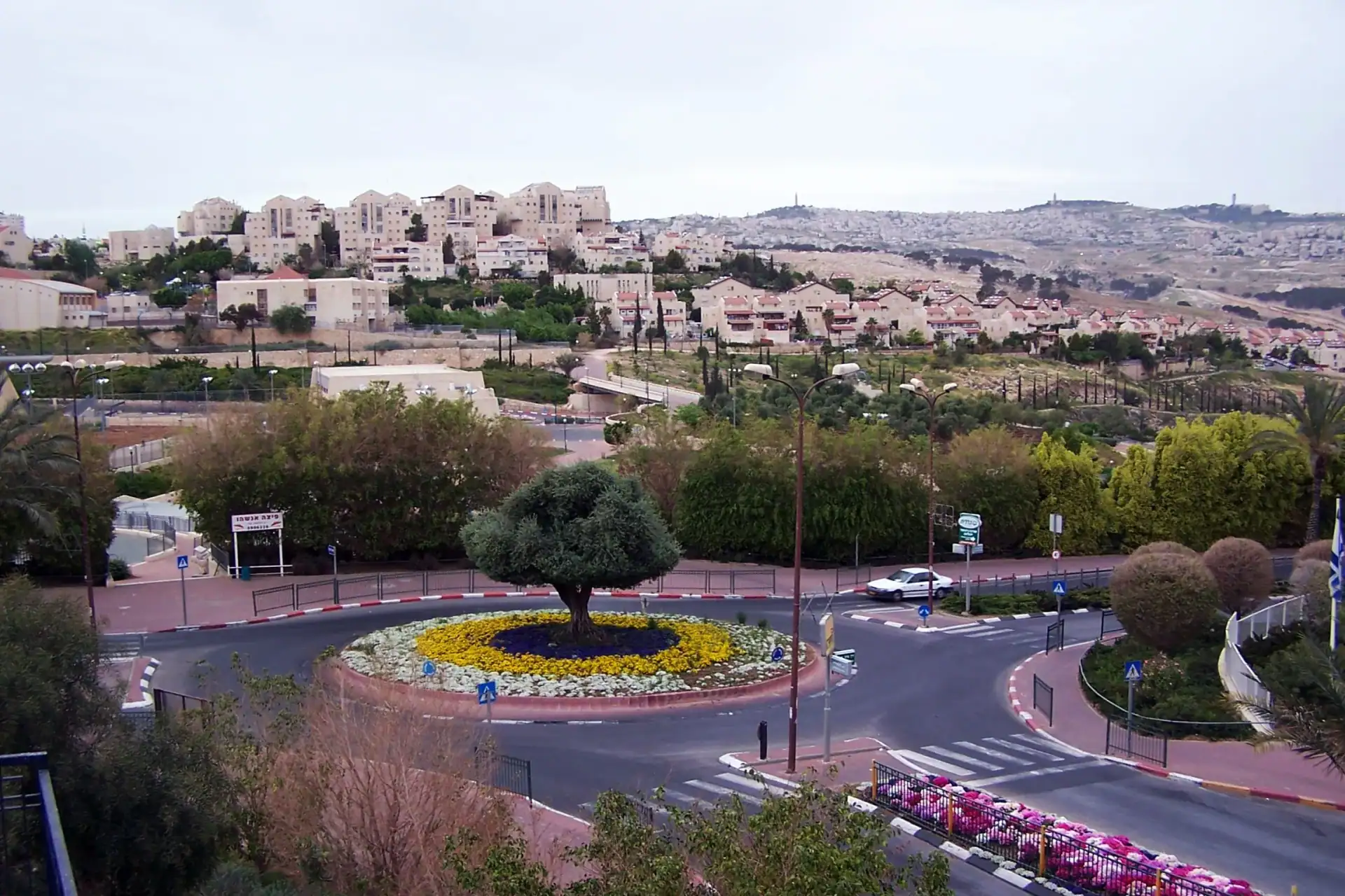 מעלה אדומים, כיכר ושכונות העיר
