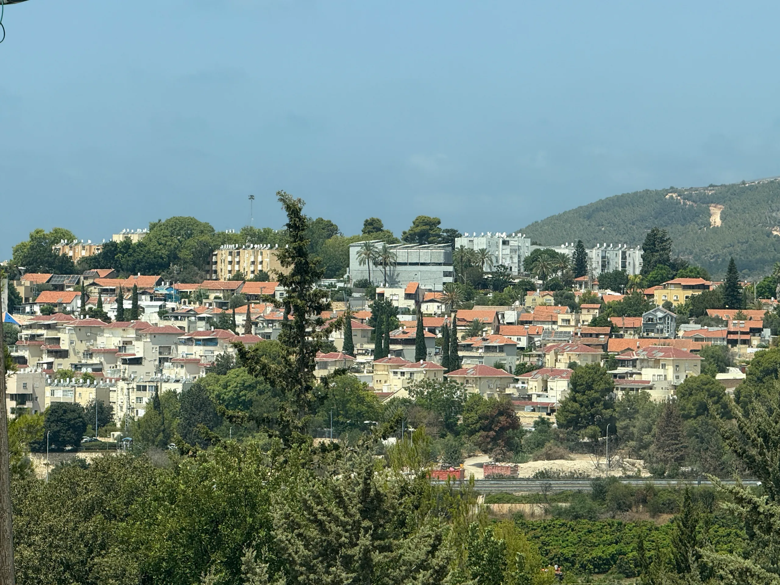 שלומי, מבט על היישוב