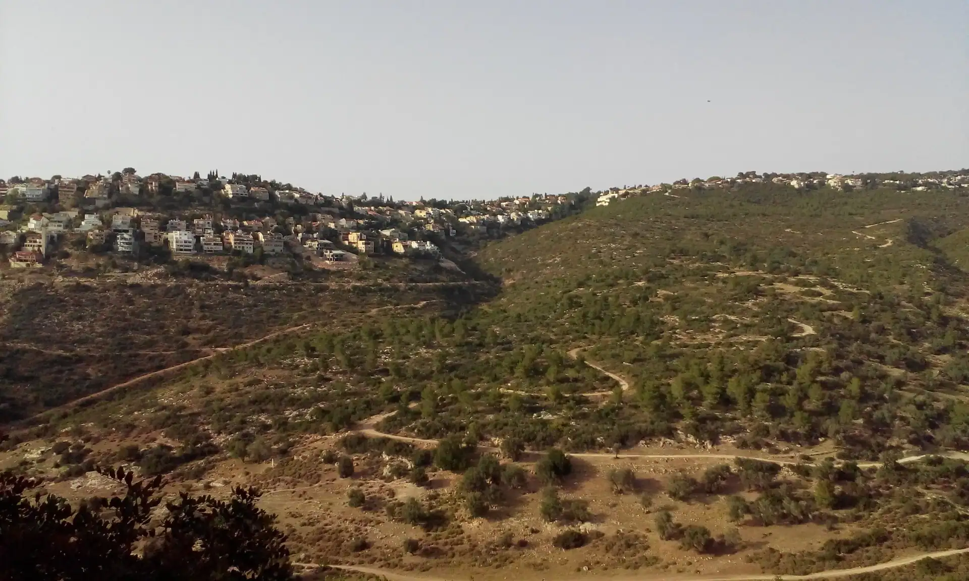 טירת כרמל, שכונה על מורדות הכרמל