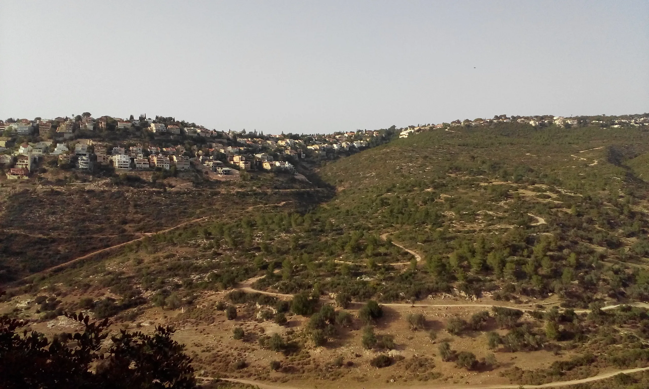 טירת כרמל, שכונה על מורדות הכרמל