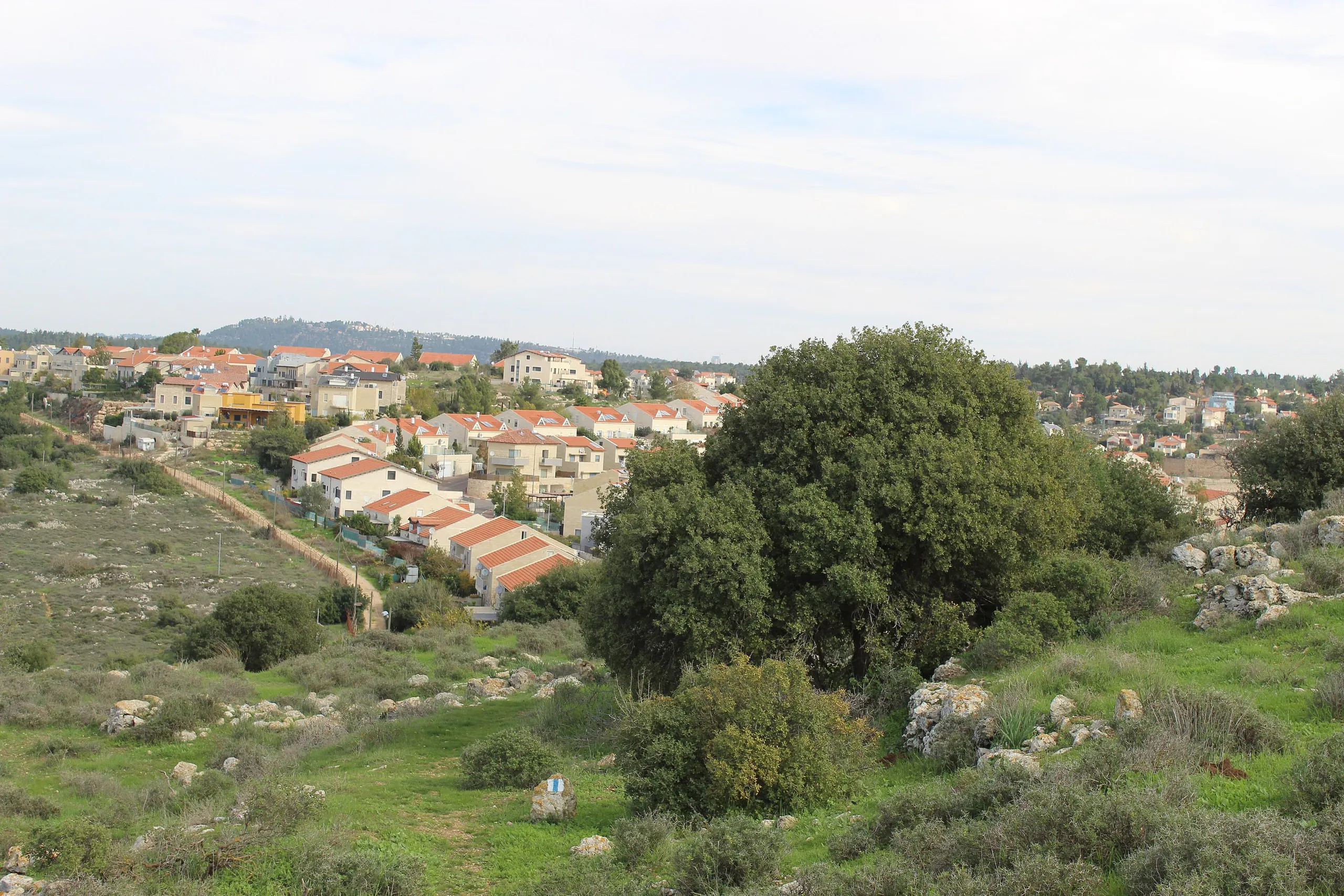 צור הדסה, מבט מחורבת ג'וריש